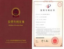 DMMn工艺系统发明专利